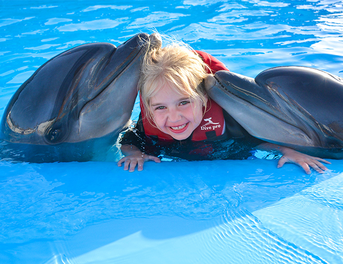 Photo Session with Dolphin